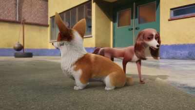 Tyson is very jealous. - He almost broke my back. - The Queen's Corgi