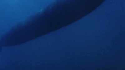 UFOs... nobody's talking about looking
down into the water. - Alien Endgame