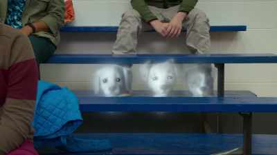 -Ugh! I can't watch. - Phantom Pups