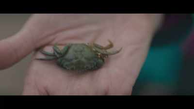 - Ugh! Oh, I hate spiders!
- It isn't a spider. It's a crab. - Edie