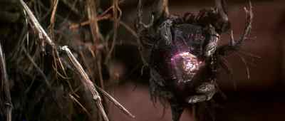 - Ugly.
- Hideous Gelfling. - The Dark Crystal