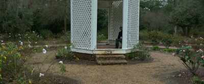 Uh, 1700s, Carl Linné
had an idea. - Master Gardener