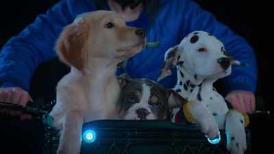 Uh, did that truck say "ghost hunter"? - Phantom Pups