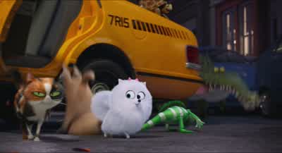 Hey heyUh Gidget wait upOh hi MaxYeah Hi UmPlay it coolYeah II just wanted toLookHave you ever lived across from someone your whole lifebut you don't really appreciate them untilI don't knowUntil they're beating up dozens of animals on the Brooklyn - The Secret Life of Pets