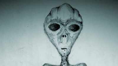 Uh, he had large black...
They weren't the typical oval eyes. - Jack Osbourne's Night of Terror: UFOs