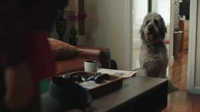 Uh, if he pushes you
around on the walk, - High Maintenance