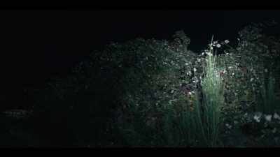 Uh… - Midnight Mass