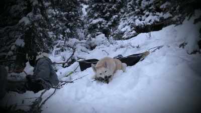 Uh, he's also
like a son to me, - Life Below Zero: Next Generation