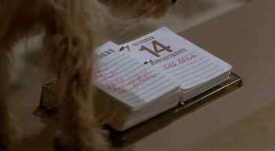 Uh-huh. There is no 15th.
That page is missing. - Oh Heavenly Dog