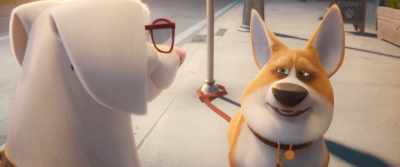Uh, I bit the FedEx guy
the other day. - DC League of Super Pets