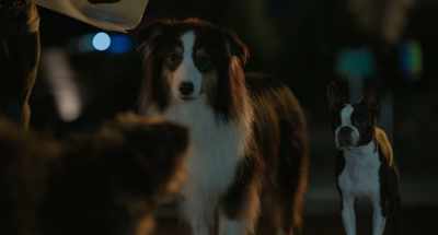 Uh, I-I just...
I-I remember passing - Strays