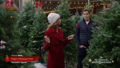 Uh, I mean,
they look pretty good to me. - Swept Up by Christmas