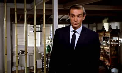 Uh... I'll just go and put some clothes on. - Dr  No