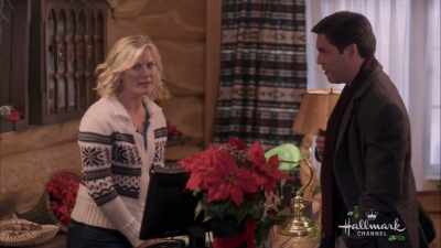 Uh, I'm booked, but uh...
is this a private party? - Christmas at Holly Lodge