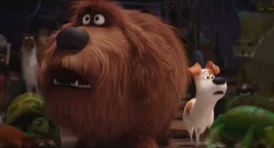 Uh, is this Viper poisonous? - The Secret Life of Pets