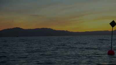 Uh, it's sunrise, - Sharkwater Extinction