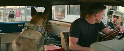Uh, you know what, man,
why don't you keep it? - Dog
