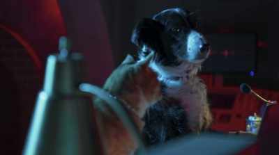 Uh... Oh, dear
God. We're doomed. - Cats & Dogs 3: Paws Unite