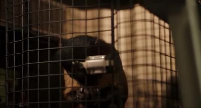 Uh, okay, I'll let you out. - Alvin and the Chipmunks: The Road Chip