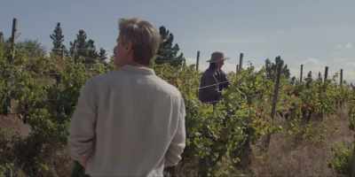 Uh, someone seems to have
planted all the trees. - Under the Vines