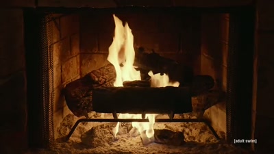 Uh, she was supposed to be gone
at 4:00, and it is after 4:00. - Adult Swim Yule Log