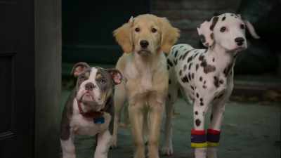 Uh, sorry, we're being so
rude. Gnarly, uh, slashers. - Phantom Pups