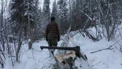 Uh, this time the stakes are
higher because my last tree is - Life Below Zero: Next Generation