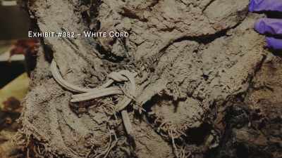 Uh, waiting's the worst. - Two Shallow Graves