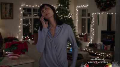 Uh, we, uh, we met yesterday
at Hennessey's? - Christmas in the Air