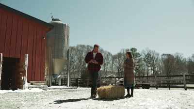 Uh, well, you know, manual
labor's not really my expertise. - Christmas at the Amish Bakery