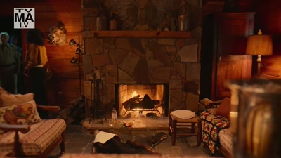 Uh, we're just
canvassing the area - Adult Swim Yule Log
