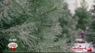      Uh, what we're after
     is a commanding tree, - Double Holiday