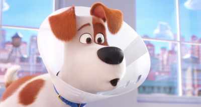 Uh, so you'll watch Busy Bee
while I'm gone? - The Secret Life of Pets 2