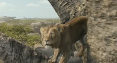 Uh, Your Highness, hold on! - Mufasa: The Lion King