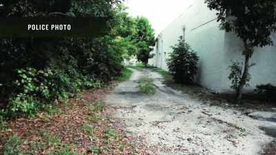 Um, where a car could drive up
into that area. - Buried In The Backyard