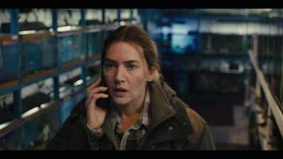 Um, she caught him
in the basement - Mare of Easttown