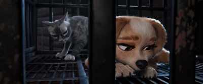Um, Gracie? - Gracie & Pedro: Pets to the Rescue