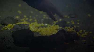 Um, so hopefully
they don't get pissed off. - Jack Osbourne's Night of Terror: UFOs