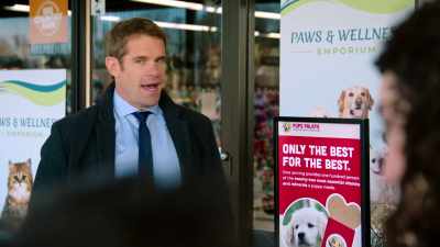 Um, I'm not really sure - Everything Puppies