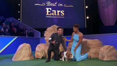 Um, no, the competition was steep, - 2022 American Rescue Dog Show