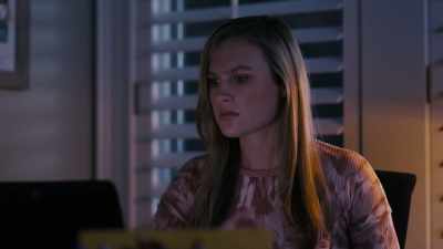 Um, okay, uh, did you get
the license plate number? - Deadly Secrets