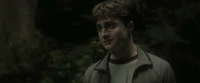 Um... Okay, yeah. Give it a go. - Harry Potter and the Half Blood Prince