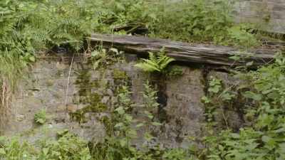 Um, otherwise this building
probably wouldn't still
be here. - Mysteries of the Abandoned