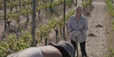 Um, so,
tell me about Stanley. - Under the Vines