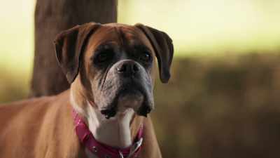 - Um, sorry about the joke. - The Bureau of Magical Things