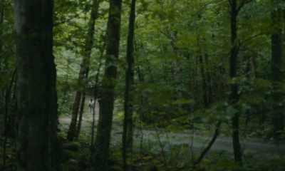 Um, unsuccessful, small ones - Black Bear