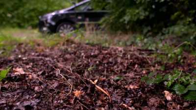 Um, we'd need probably
a fire investigator to attend. - When Missing Turns to Murder