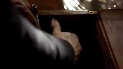Um, you're not supposed to touch. - The Vampire Diaries