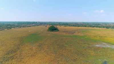 UMBERTO AND A TEAM
OF ARCHEOLOGISTS - Lost Cities of the Amazon