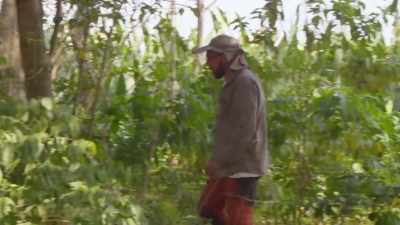UMBERTO SPOTS SOMETHING
VERY STRANGE - Lost Cities of the Amazon
